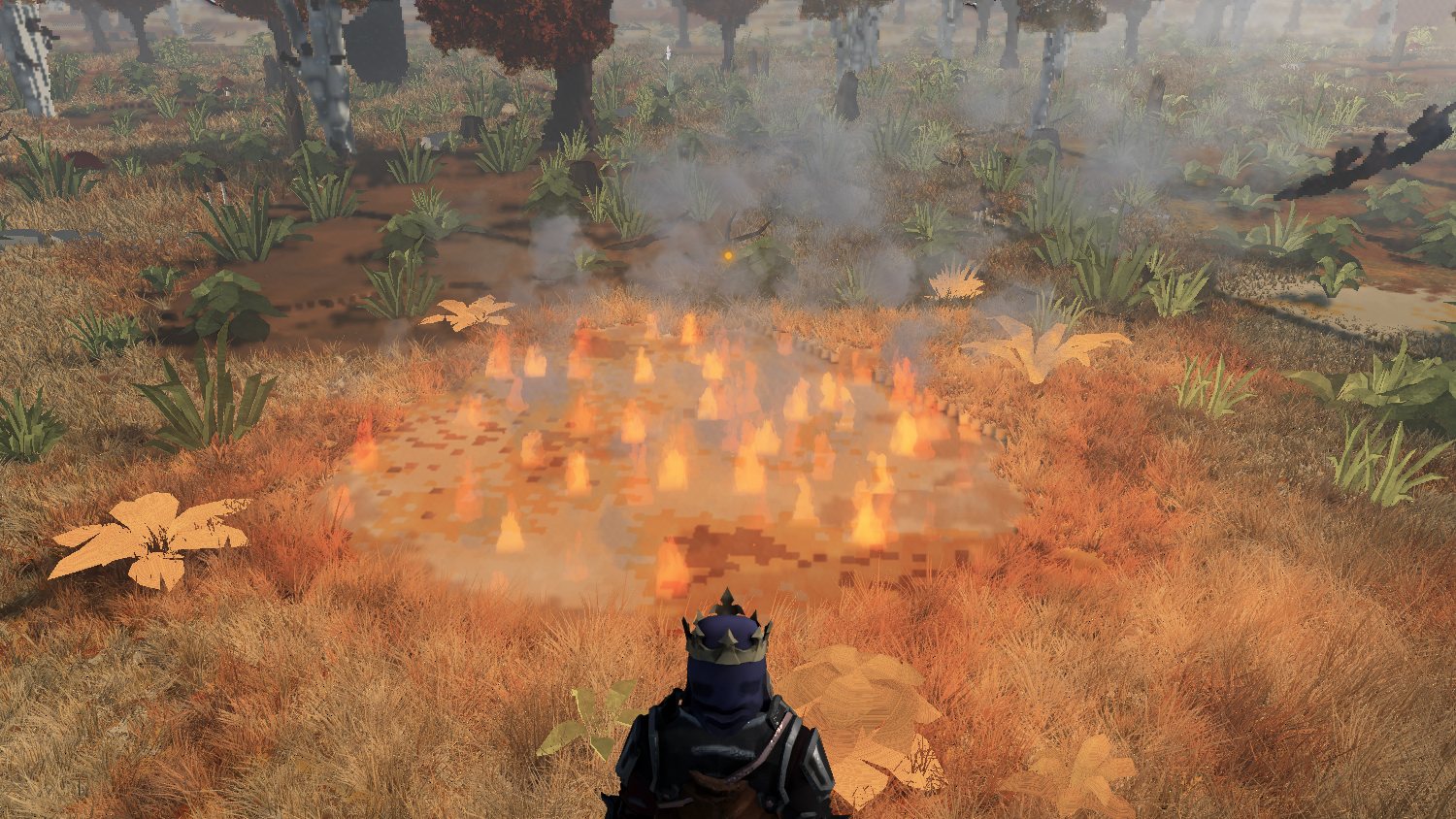 fisika in-game: a fireball has set the dry grass alight and the fire is spreading